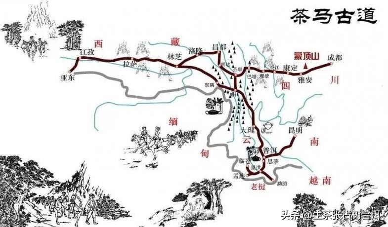 详述易武古树茶的几大亮点，告诉你茶友为什么喜欢喝？