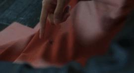 大剧刚收官,有些话我真的憋不住了