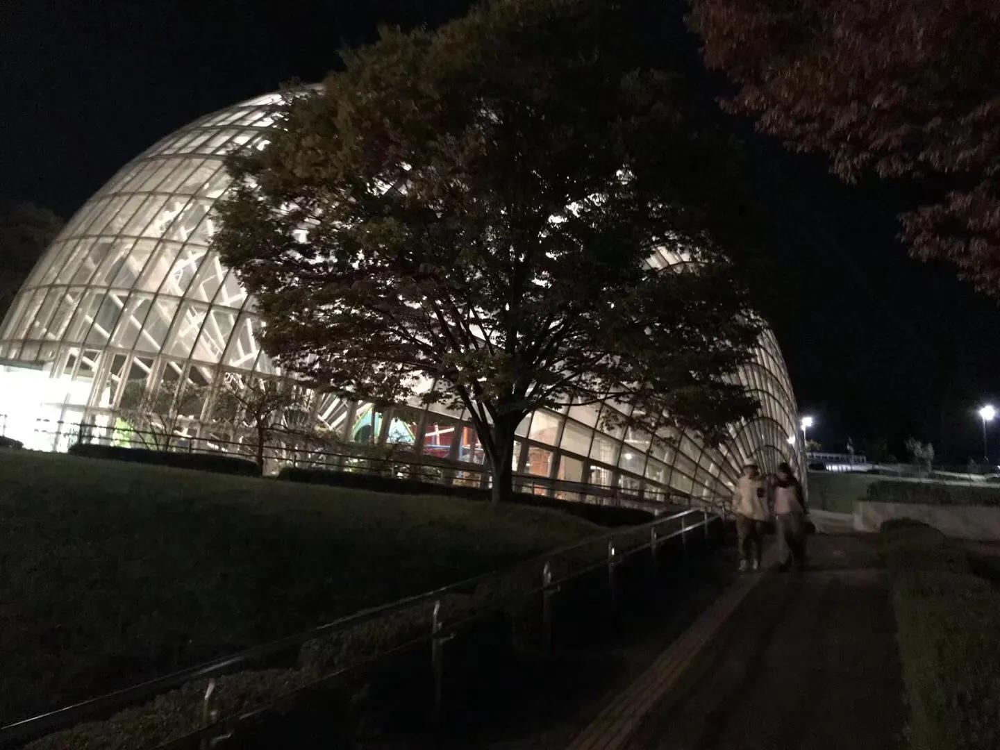 日本疫情举行聚会,日本民众疫情聚会