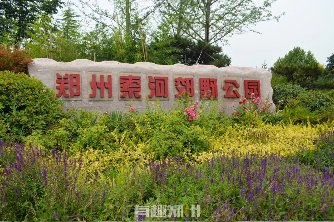 2020年有创意的台历,2020年比较有创意的台历