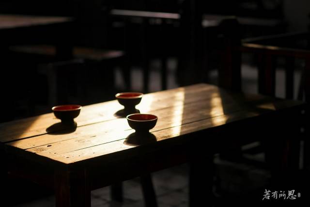 游走在沙家浜湿地公园,沙家浜风景区湿地渔乐园