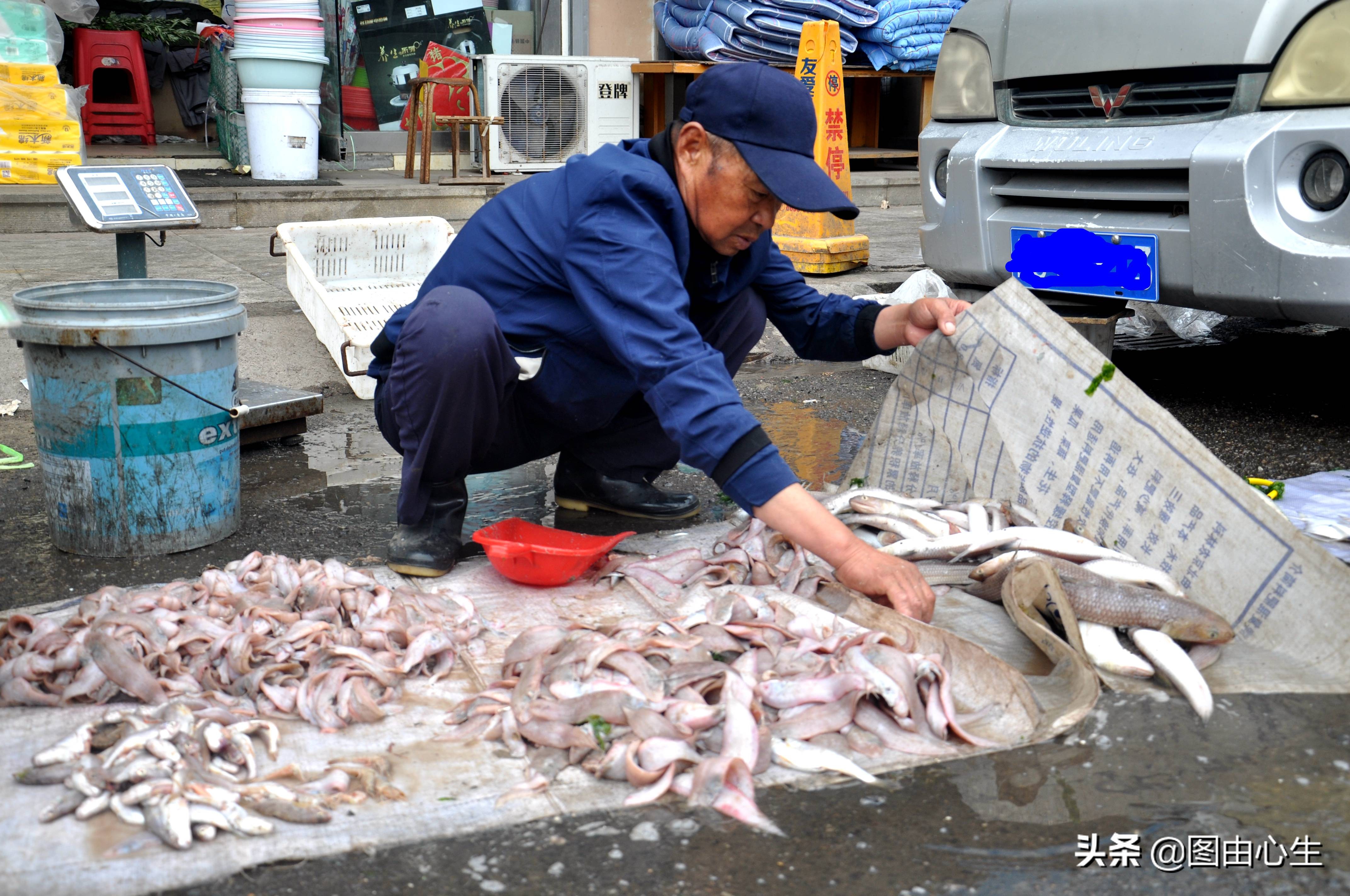 节后生意开忙，青岛批发大虾老板凌晨3点起床，十年买了三套房