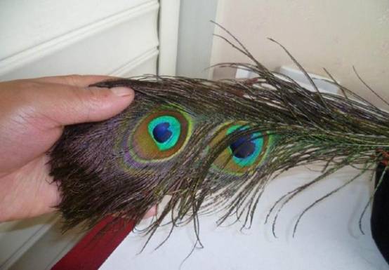 顶戴花翎对应的品级和官位,古代官职顶戴花翎大全