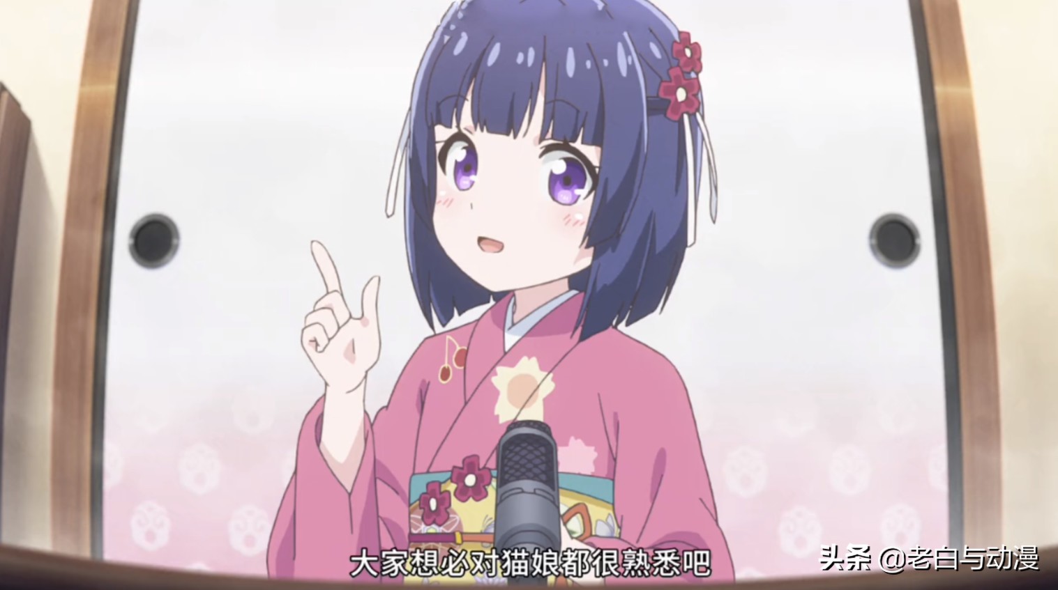 这才是猫奴必看动漫,动漫猫娘超可爱