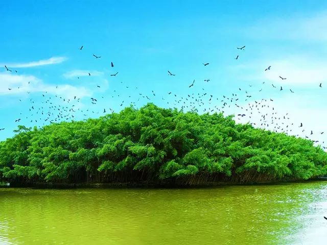 全国十大名茶旅游地,中国十大茶旅