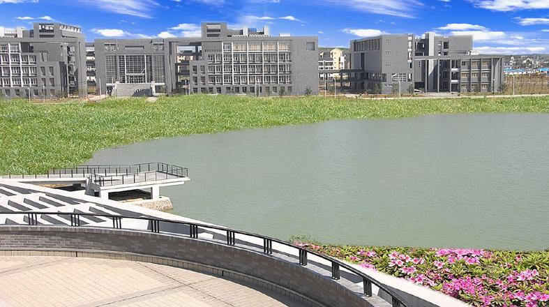 每天带你了解更多知识,每天带你认识一个医学专业