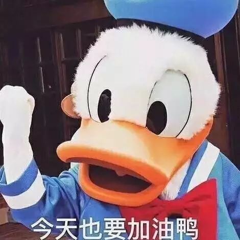 猫咪乱吃药怎么救,猫咪乱尿解决神器