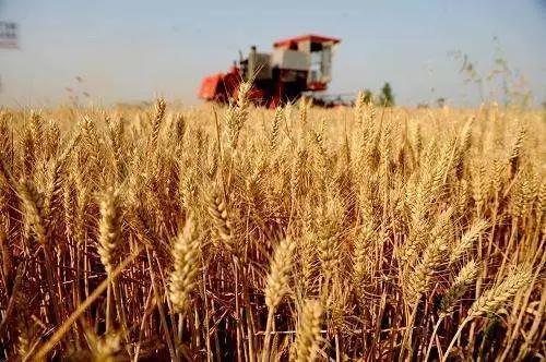 关于安全文明的快板,安全文明快板推荐