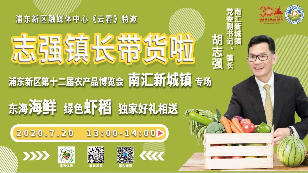 上海浦东新区川沙镇镇长,上海浦东新区川沙新镇党委书记