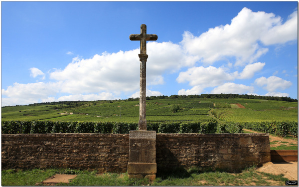 世界顶级十大红酒排行榜,法国顶级红酒十大品牌