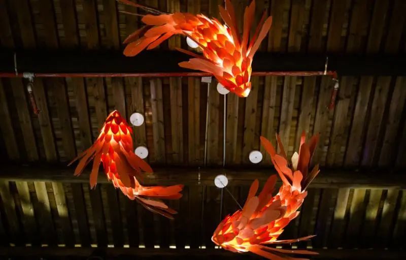 闽侯国潮金鱼博物馆,国潮金鱼博物馆