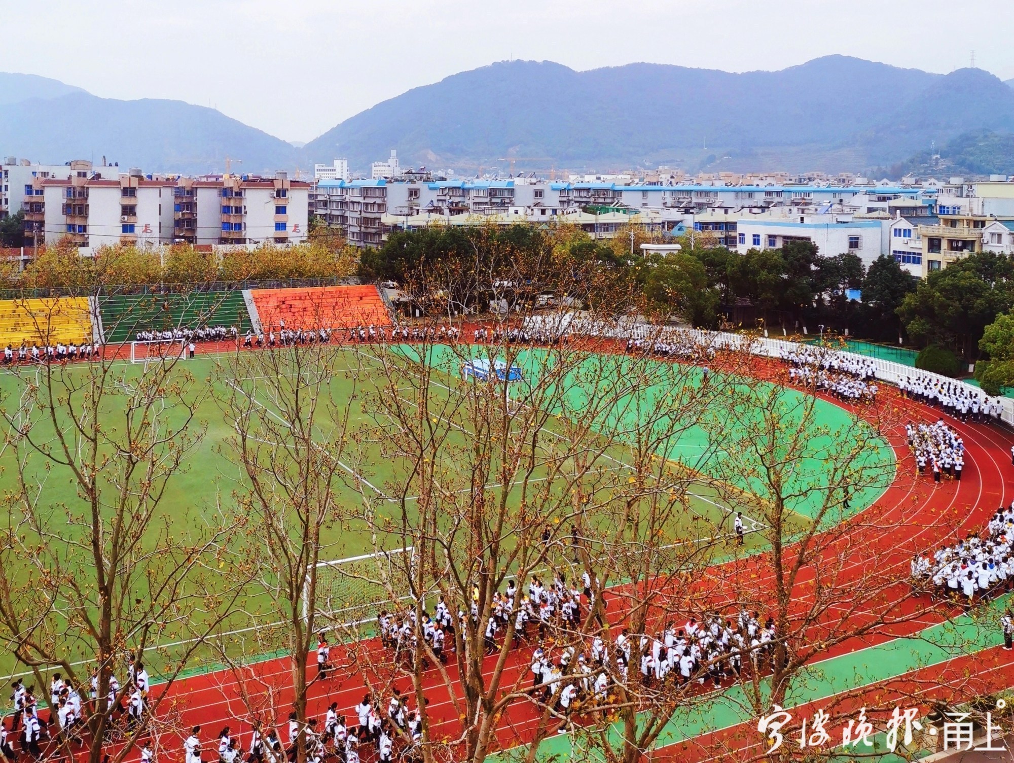 既是学霸又是国服打野,既是学霸又是校霸双男主