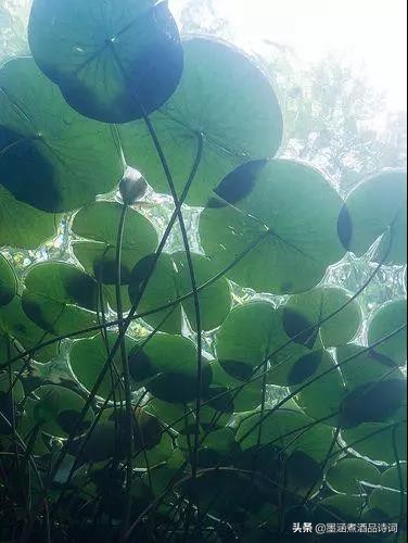 370个成语之最风趣幽默太精辟了,100个幽默成语大全