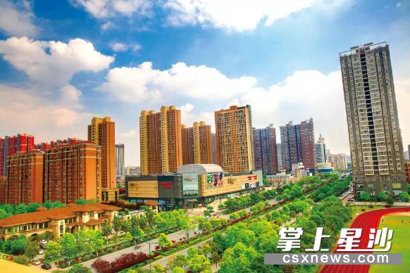 喜大普奔最新行情,喜大普奔动态