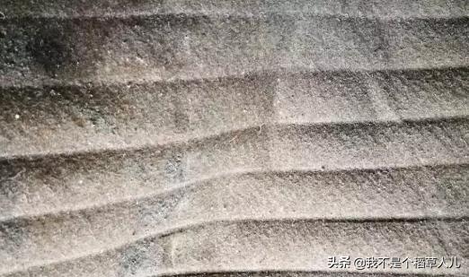 布袋除尘器糊袋原因是什么,除尘滤袋糊袋的原因