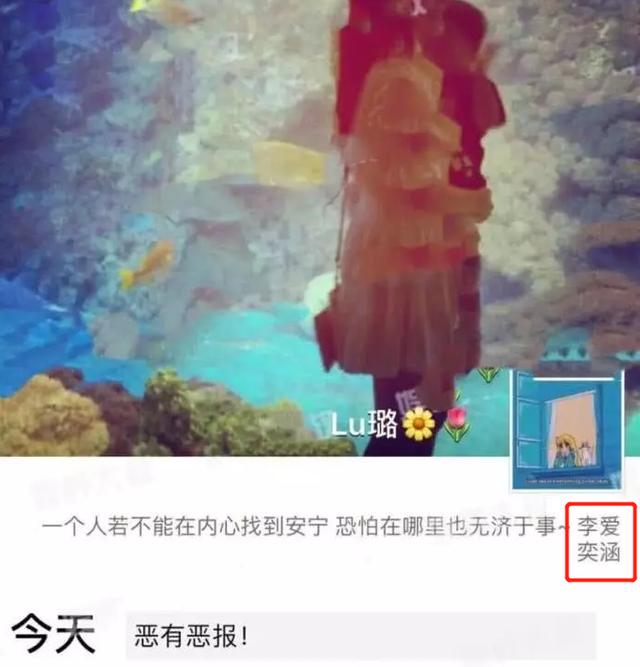 李小璐为什么能得到抚养权,李小璐怎么争到抚养权的