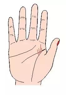 手相解密,手相掌纹分析学