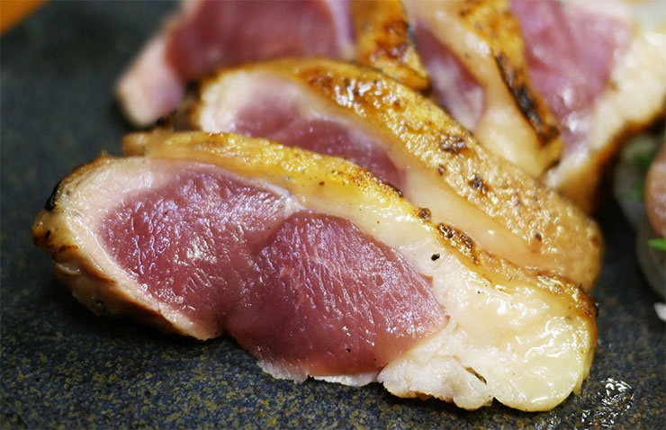 一只鸡获得了金蛋,一只鸡的最高荣誉