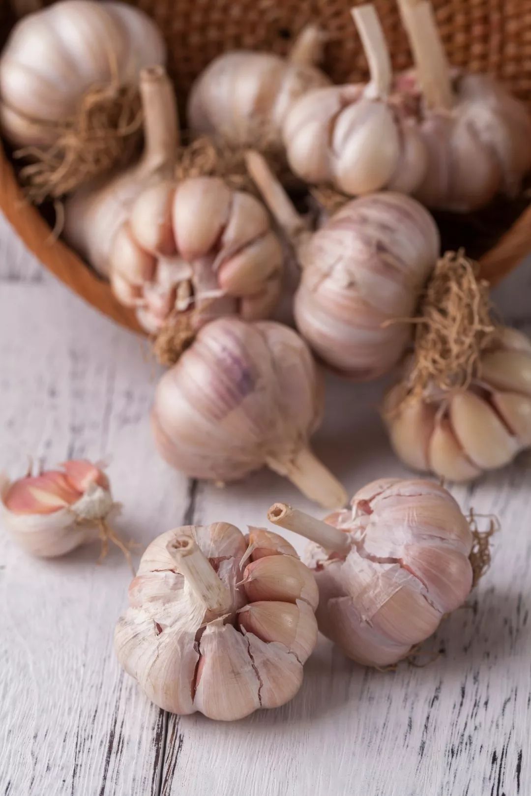 按吨起步支援湖北,背后是世界第一硬核蔬菜大国