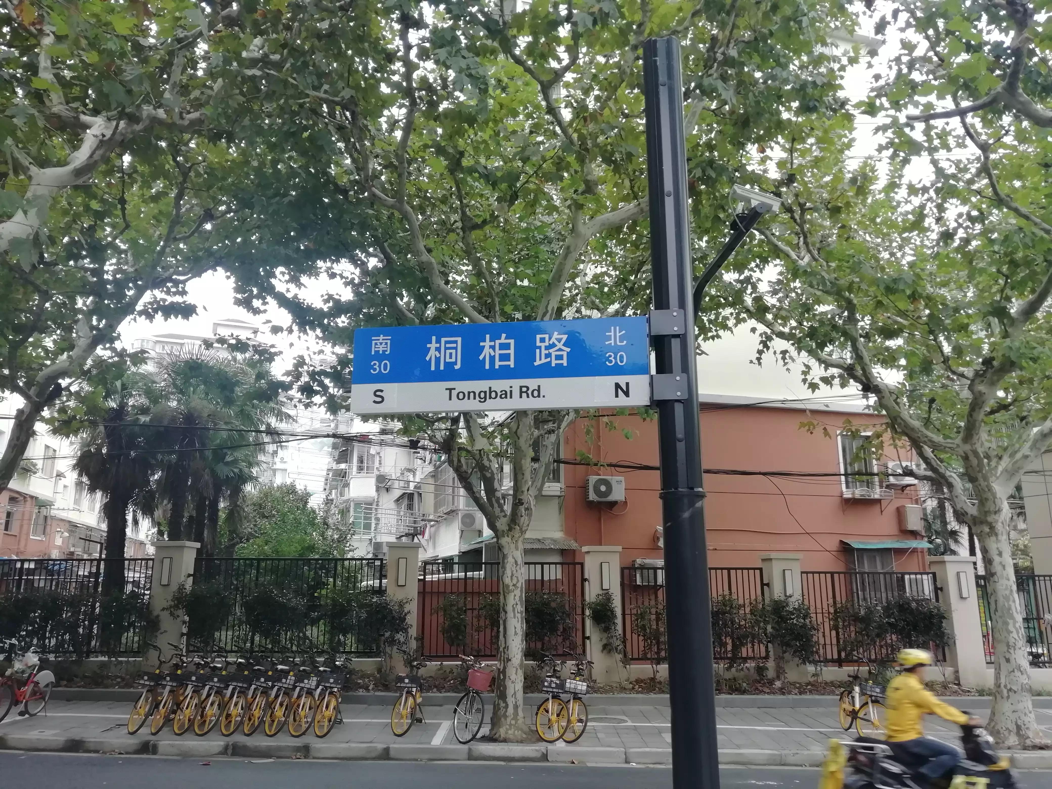 此劳模新村何以植物命名马路，以至美得像江南园林？