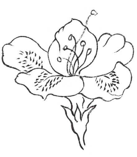 牡丹切瓣花国画画法,国画山茶花花瓣画法