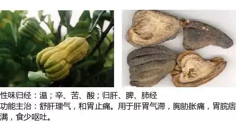 常用中草药名称大全图片及药效,常用中草药药效大全