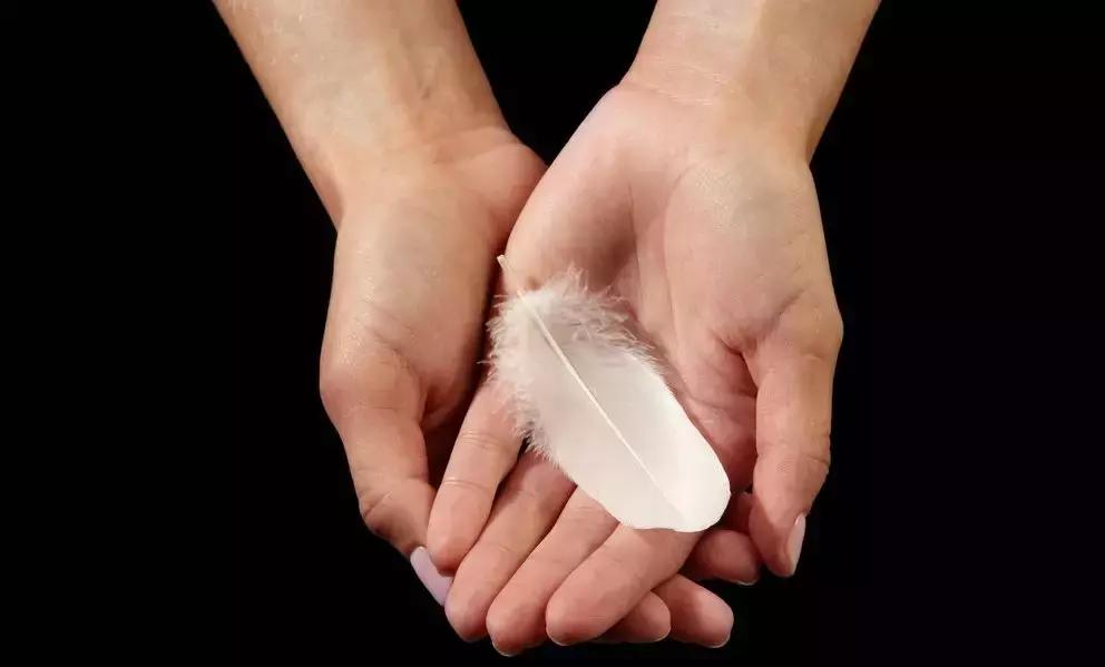 羽绒被鹅绒被哪个牌子实惠又好,鹅绒羽绒被95%与90%哪个好