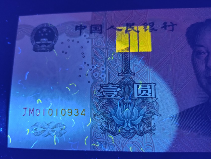 991大叶兰的闪光点