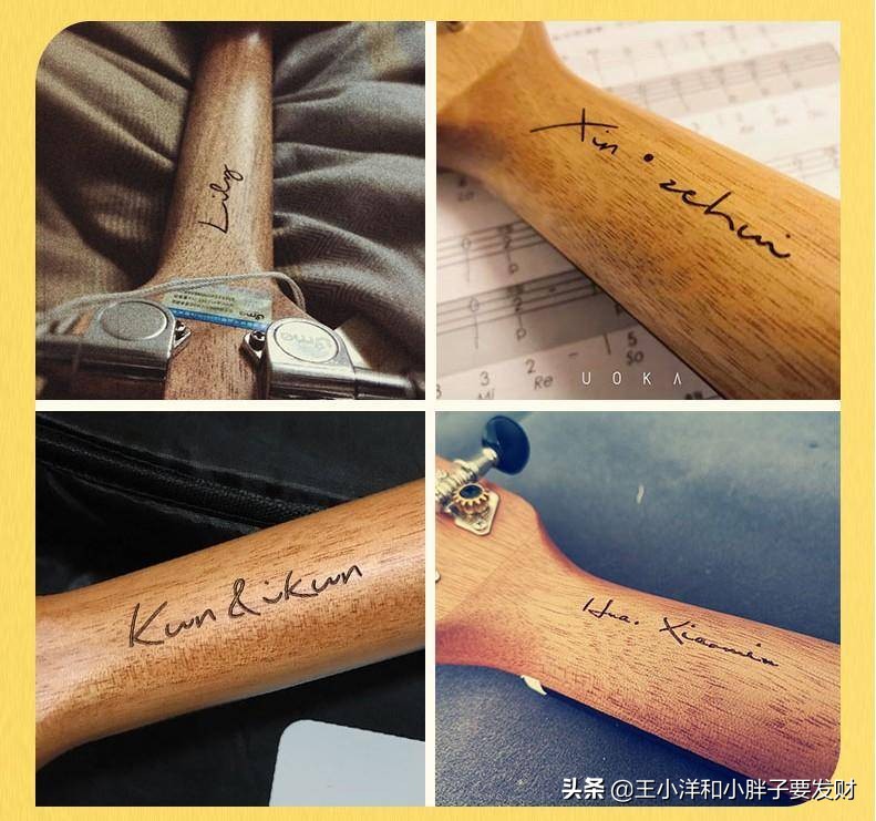 怎样选一把好的尤克里里,十大入门级尤克里里推荐