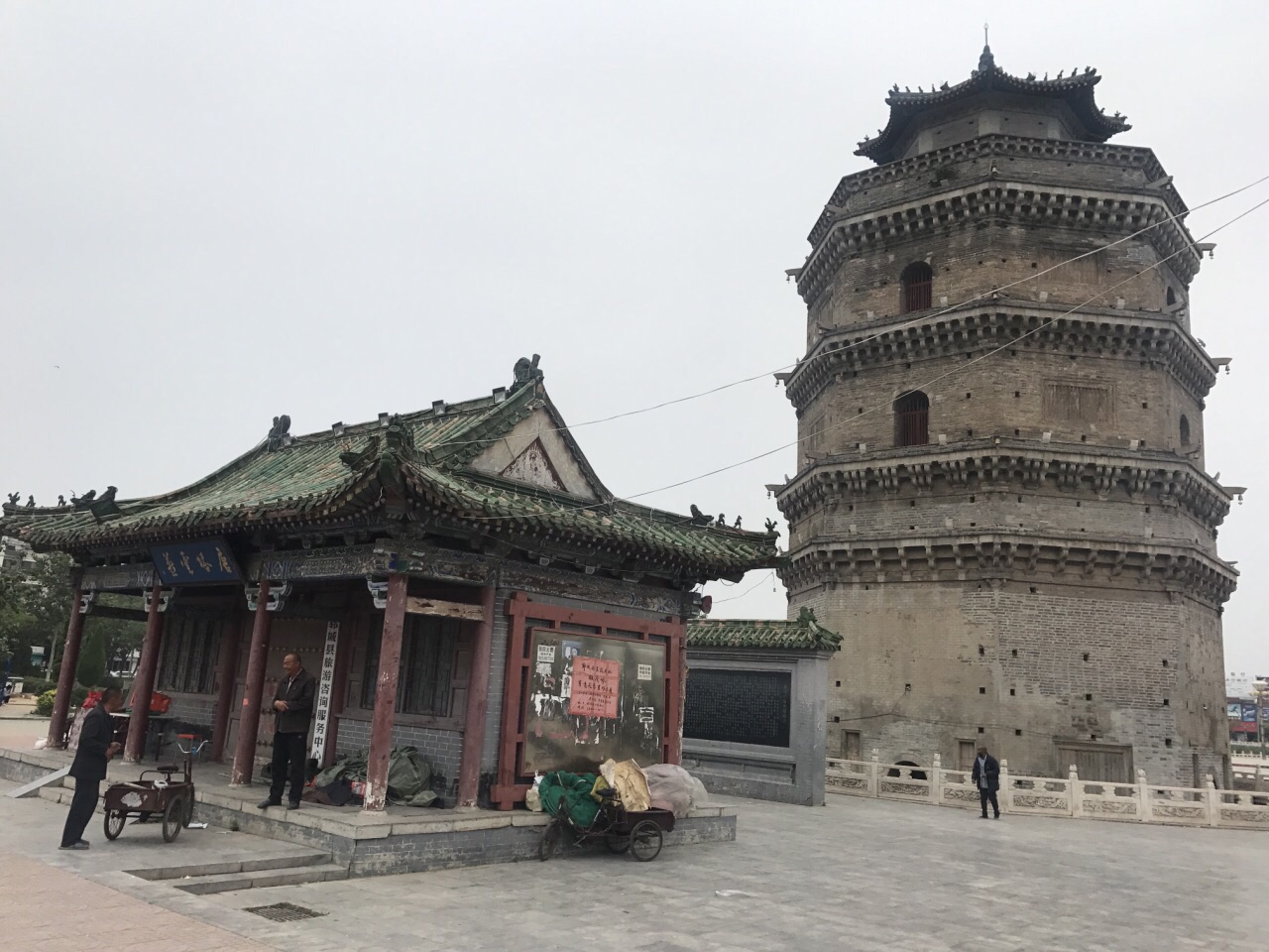 奇怪的古塔燕子----“严冬不南迁，有足不成行”