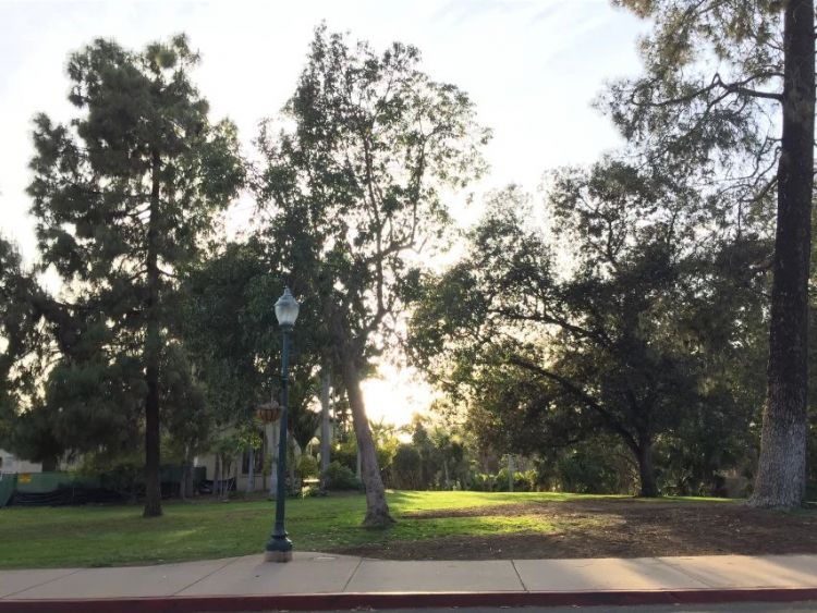 如何识别留学陷阱规避留学风险,给出国留学生4条留学必知建议