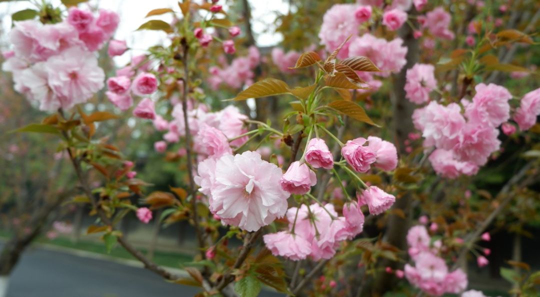 极限运动高楼跑酷剪辑合集,极限运动高楼跑酷剪辑高燃