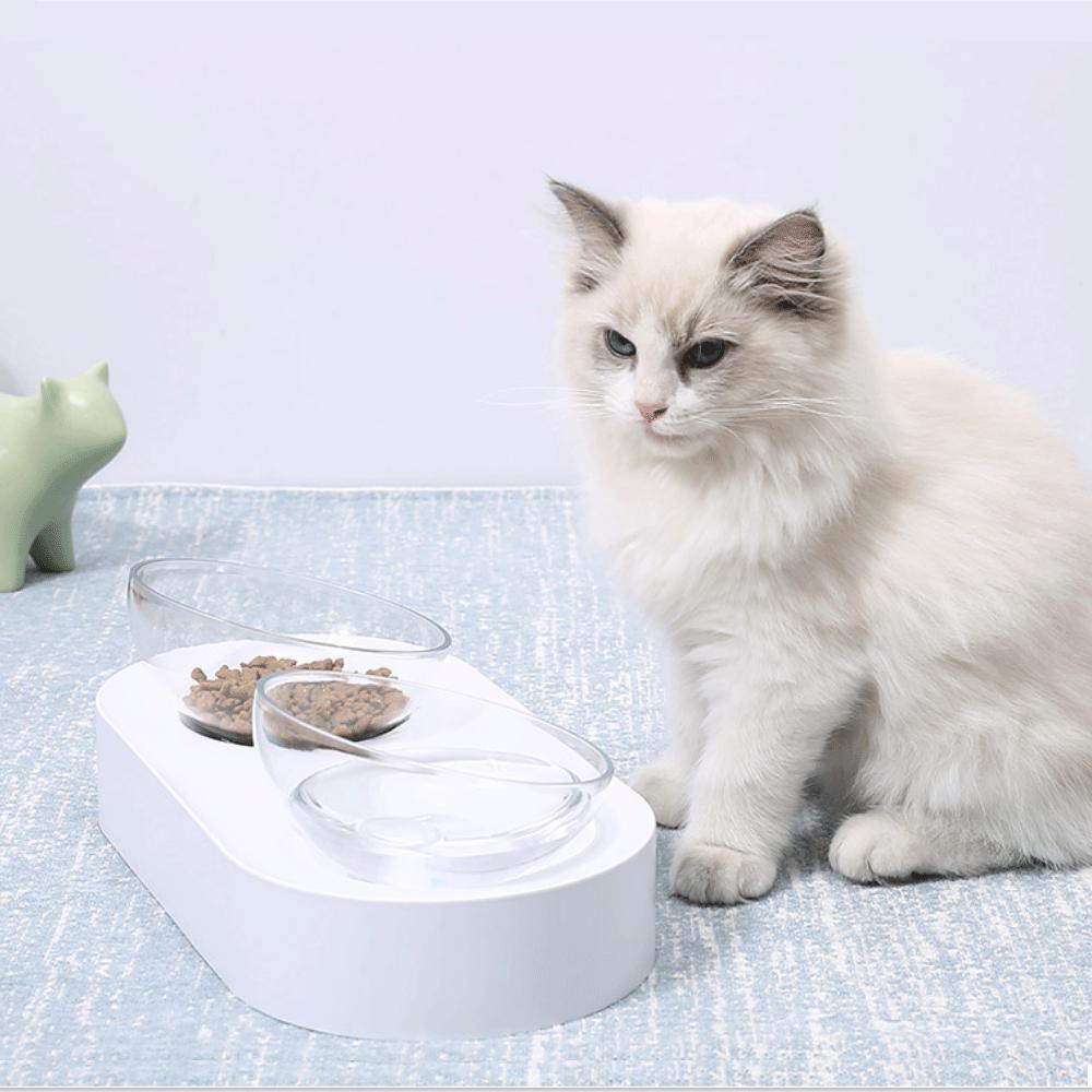 猫能活13年，你做好给猫咪养老的准备了吗？快收下这份养老手册