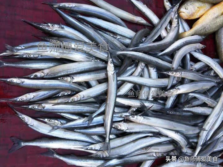 春季野生海鱼,应季野生海鱼