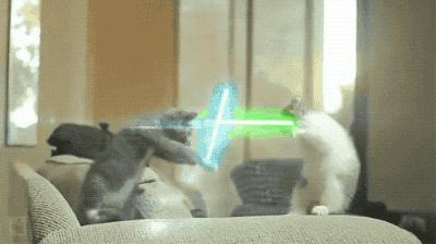 实地探访：华为卖车第一天，体验店变4S店