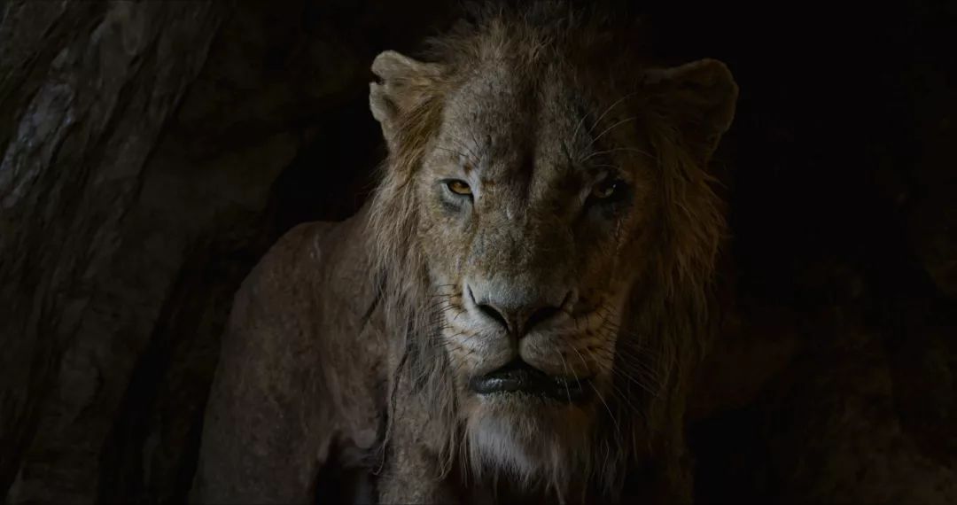 电影狮子王1994年,电影狮子王辛巴