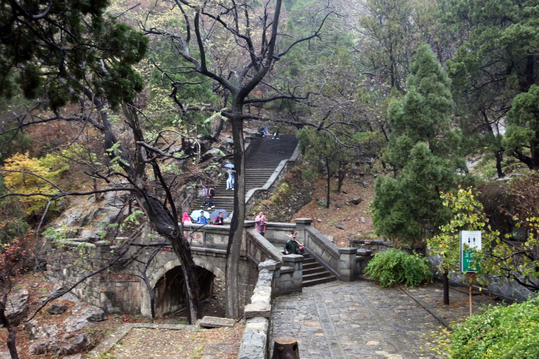 泰山景区在山东哪个市,泰山孔子庙在泰山的位置