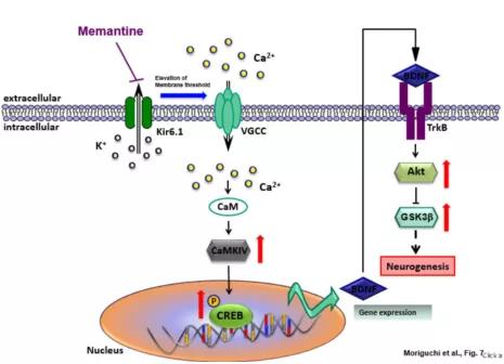 097期抑研报｜抑郁症，用心理疗法还是药物疗法？
