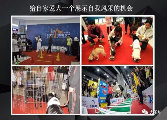 鑲嗘剰涔愭椿,鑲嗘剰涔愭椿灞变笢