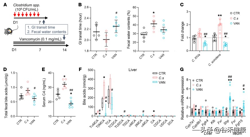 粪菌移植治疗肠易激综合征腹泻 (中药治腹泻型肠易激)