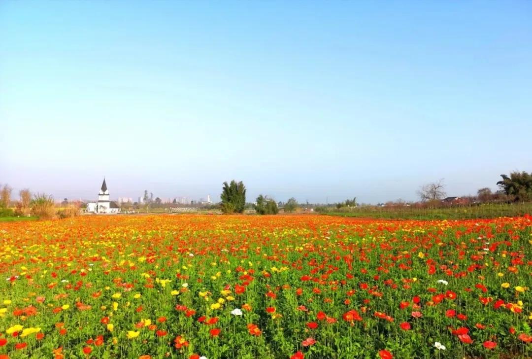 5月18日成都免费游博物馆怎么预约,成都周边游玩哪些地方需要预约的