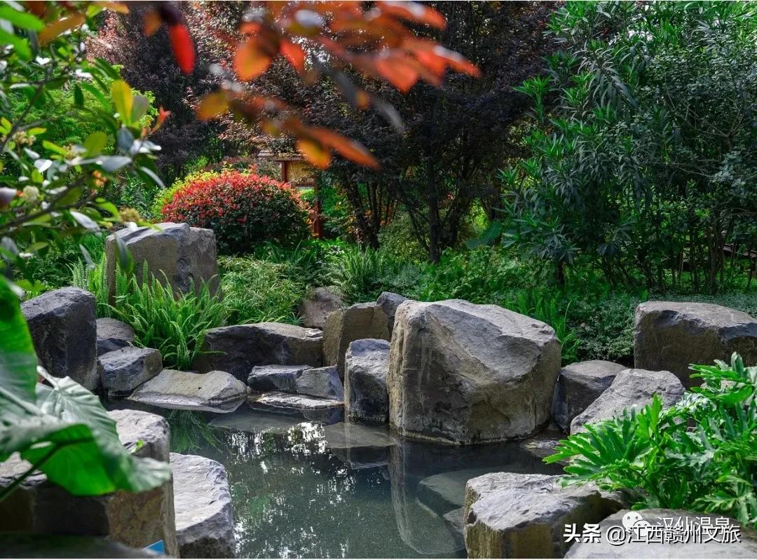 天凉了，告别秋燥，温泉养生约起来吧！