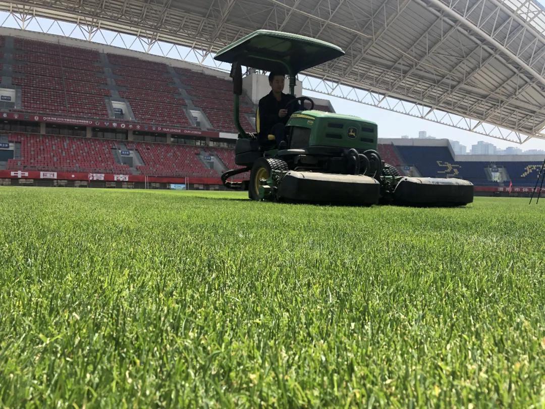 渭南建设专业足球场,渭南体育中心足球场