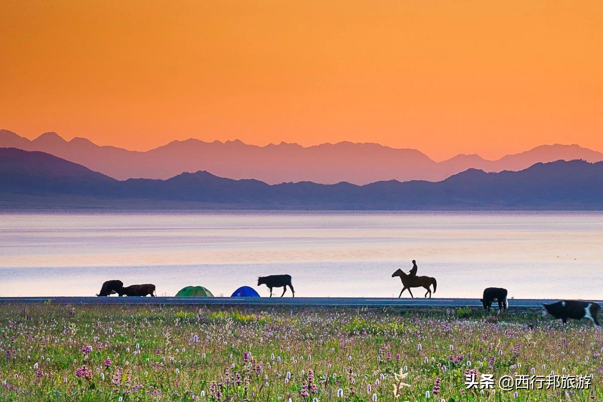 *疆新**,一定要不顾一切去一次的地方