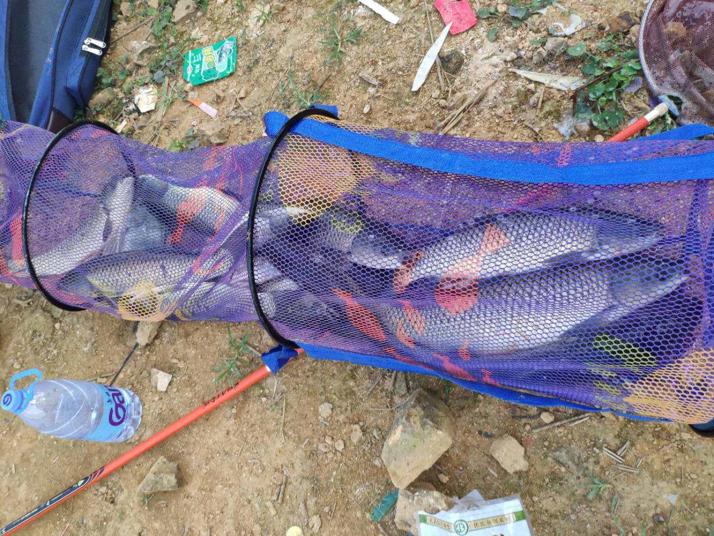 夏天野钓小鱼闹窝的最有效的方法,夏季白天钓鱼怎样减少小鱼闹窝