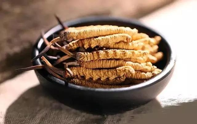 人工培育冬虫夏草价格,怎样区别人工种植的冬虫夏草