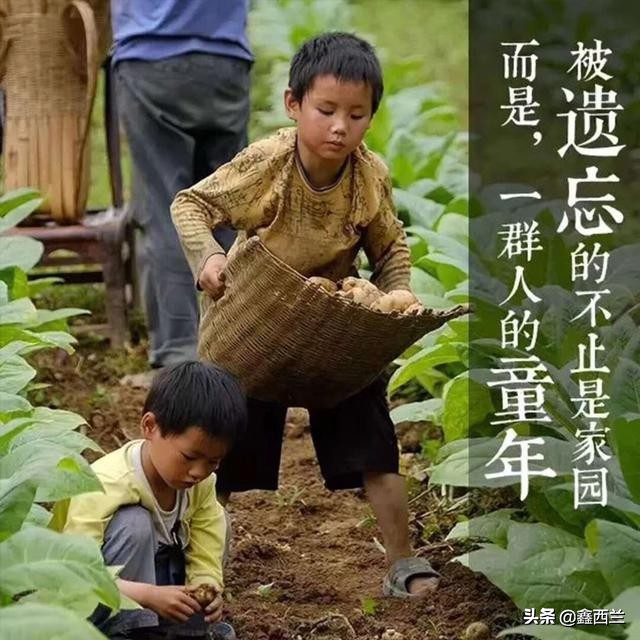 农村80后自述心路历程,一个70后的农村电商创业者