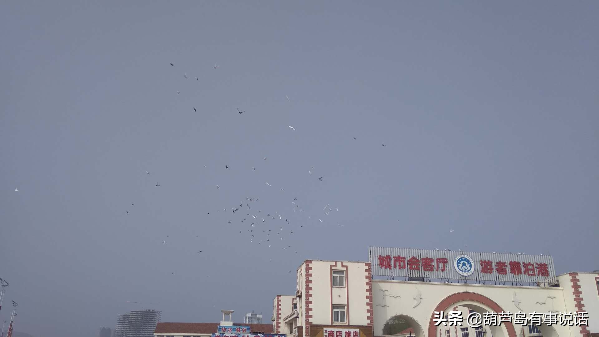 辽宁葫芦岛龙湾海滨,夏天的葫芦岛龙湾海滨