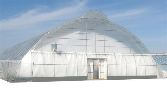 温室大棚的总结与展望,智能化温室大棚的优势