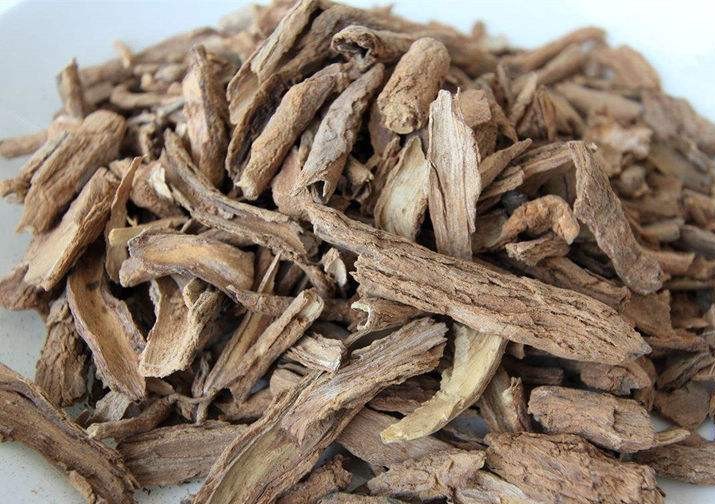 地骨皮本草记载治什么,地骨皮的归经和功效